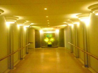 rs10006.jpg