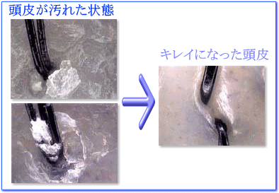KAMI_1.gif
